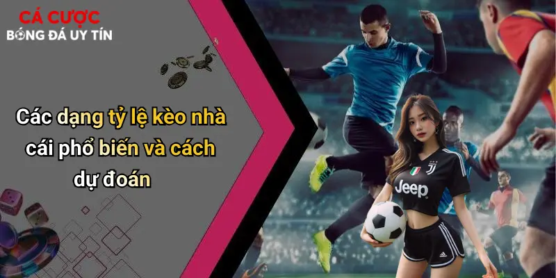 Các dạng tỷ lệ kèo nhà cái phổ biến và cách dự đoán
