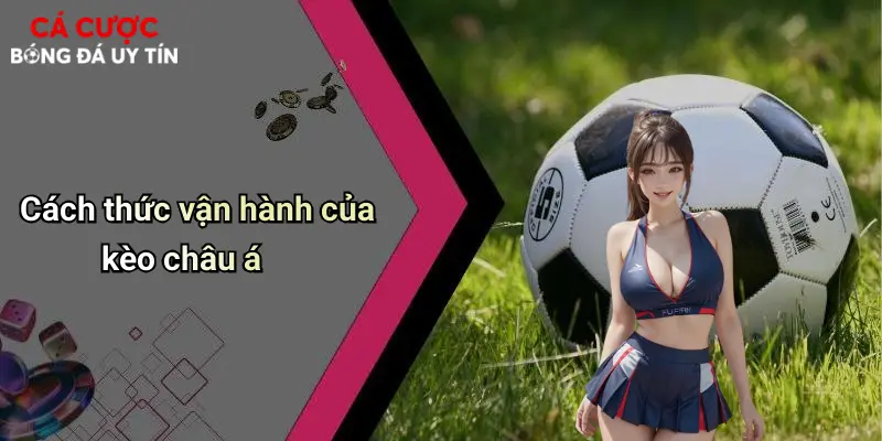 Cách thức vận hành của kèo châu á