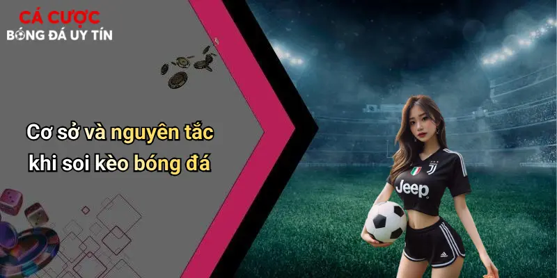 Cơ sở và nguyên tắc khi soi kèo bóng đá