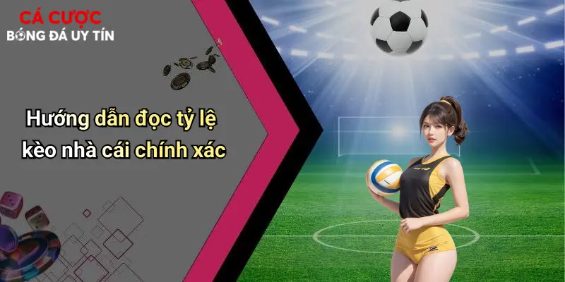 Hướng dẫn đọc tỷ lệ kèo nhà cái chính xác