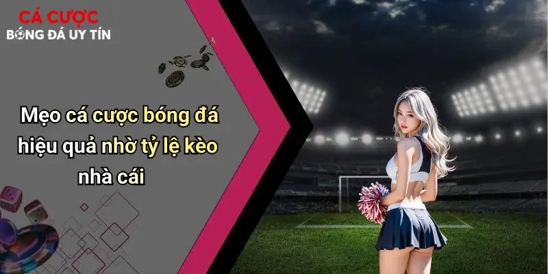 Mẹo cá cược bóng đá hiệu quả nhờ tỷ lệ kèo nhà cái