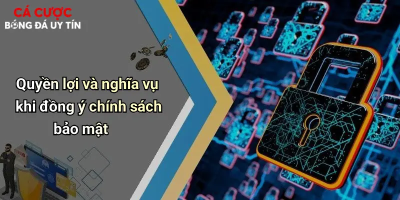 Quyền lợi và nghĩa vụ khi đồng ý chính sách bảo mật