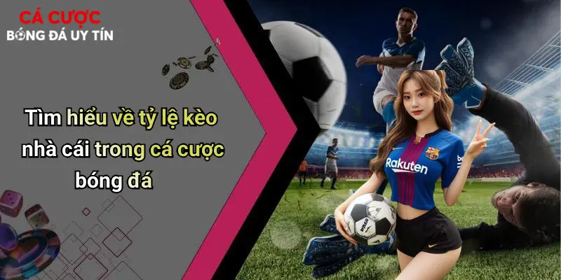 Tìm hiểu về tỷ lệ kèo nhà cái trong cá cược bóng đá