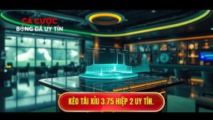 Kèo tài xỉu 3.75 hiệp 2 là gì? Bí quyết thắng lớn tại protogofood.com