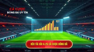 Kèo tài xỉu 6.25 là gì? Cách đọc và bí quyết thắng lớn tại protogofood.com