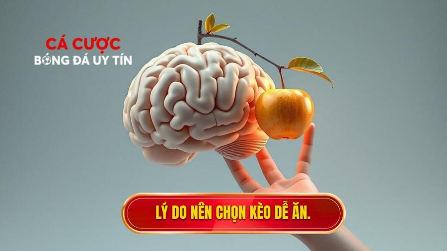 Phân tích tâm lý và thực tế: Tại sao cần tìm kèo dễ ăn?