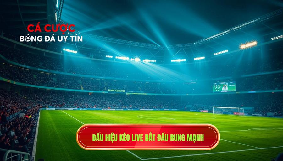 Dấu hiệu kèo live bắt đầu rung mạnh
