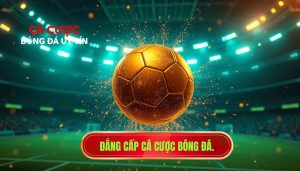 Đẳng cấp cá cược bóng đá.
